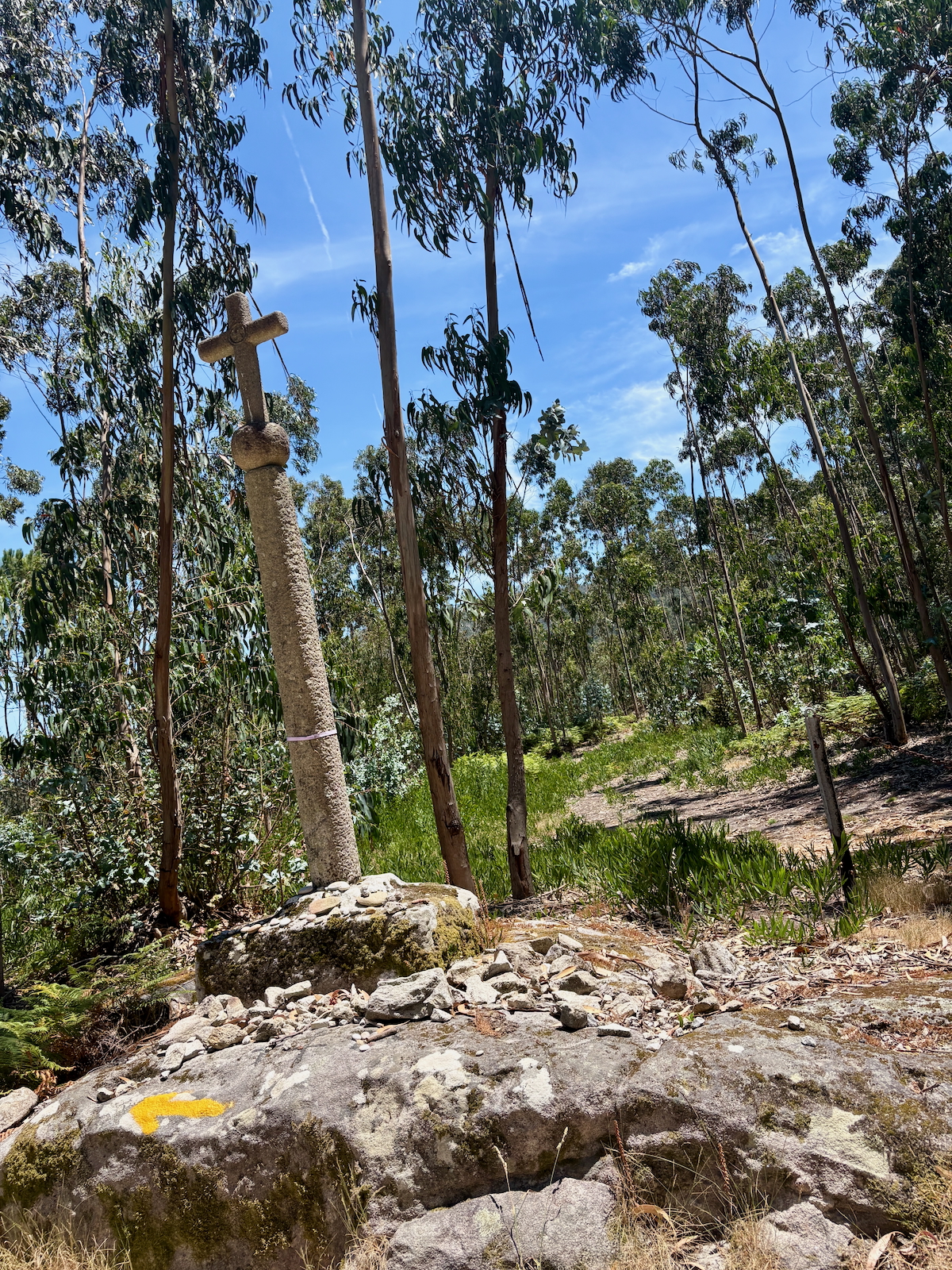 Stone cross on a tall pedestal in a rocky clearing among eucalyptus trees under a blue sky.