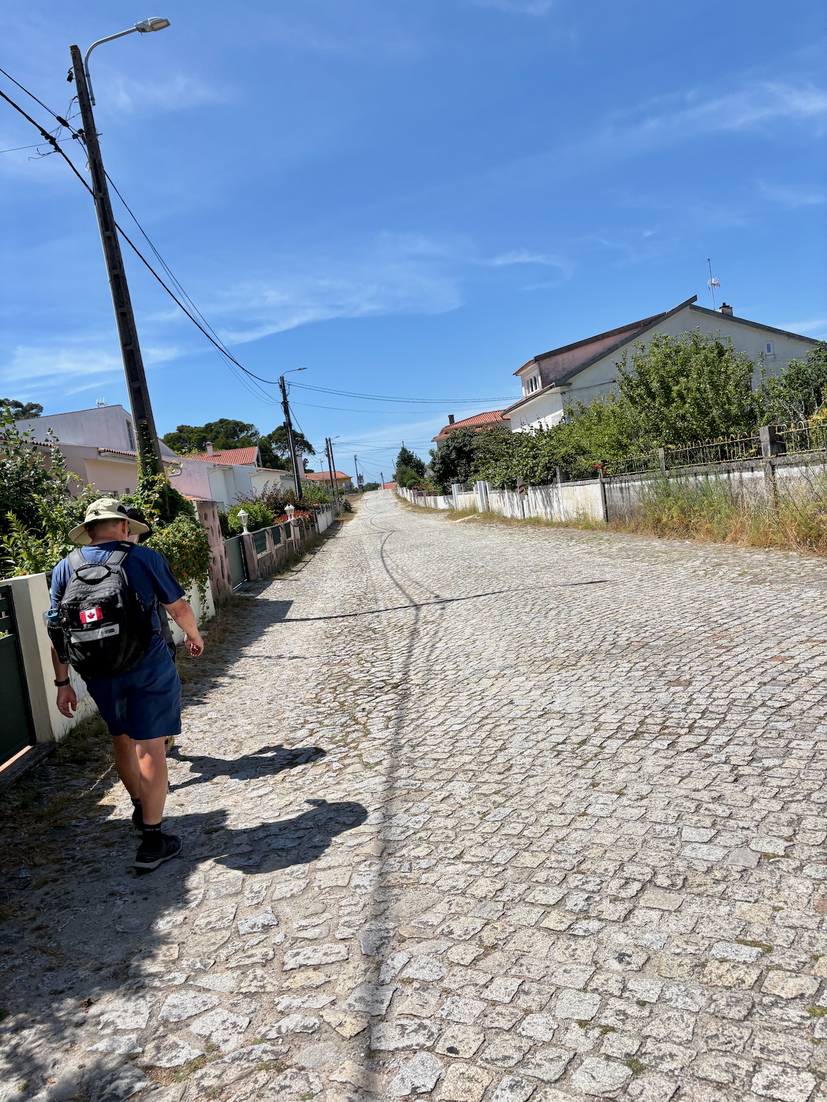 Person wearing a hat and backpack walks along a sunlit cobblestone street in a residential area, toward a curve ahead.
