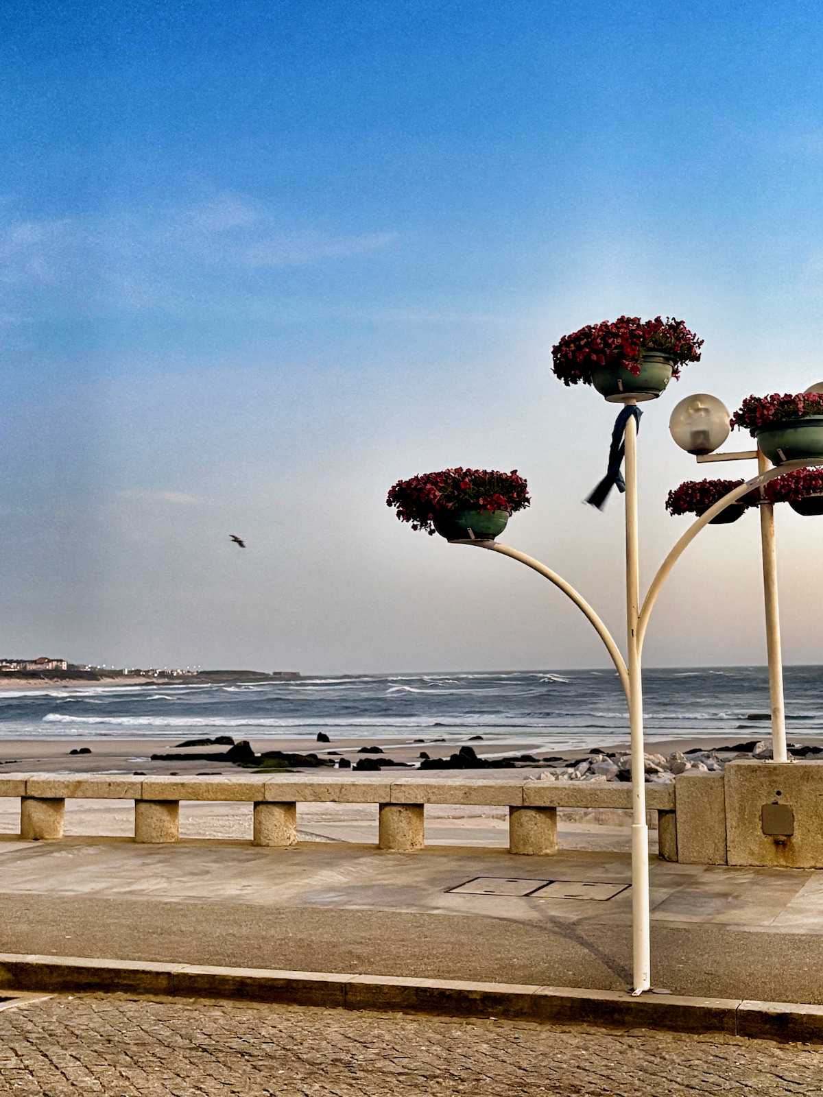 Seaside promenade with curved lamp posts holding red flower pots against a blue sky and ocean backdrop