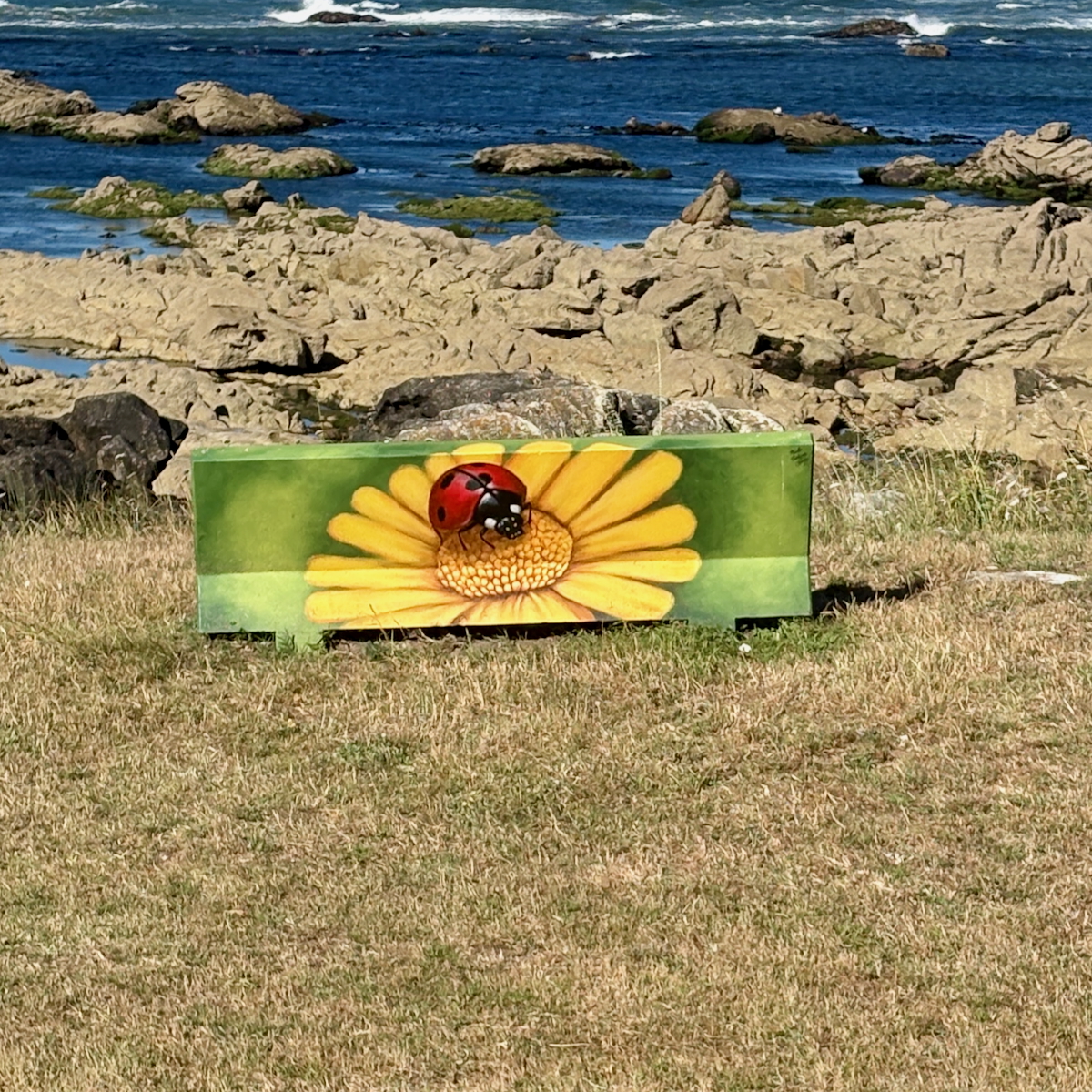 Green panel featuring a yellow daisy and a red ladybug, set on a grassy, rocky coastal area with the sea in the background.