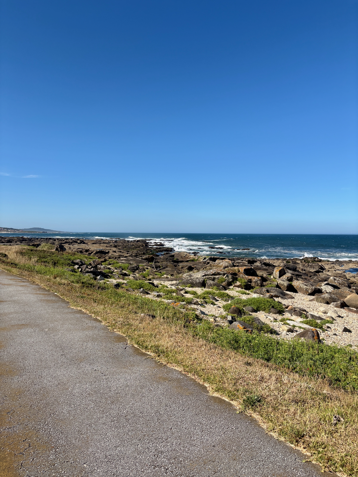 Paved coastal path beside a rocky shore and grassy verge, with blue ocean and clear sky above.