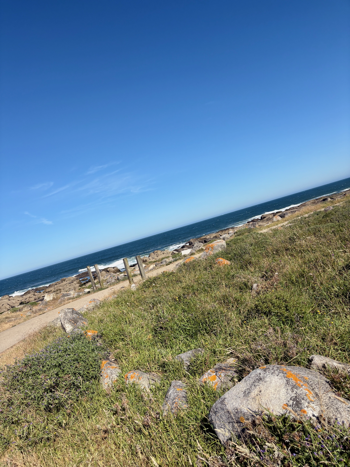 Coastal scene with a rocky shoreline, grassy foreground, and a clear blue sky over the ocean by a narrow path.