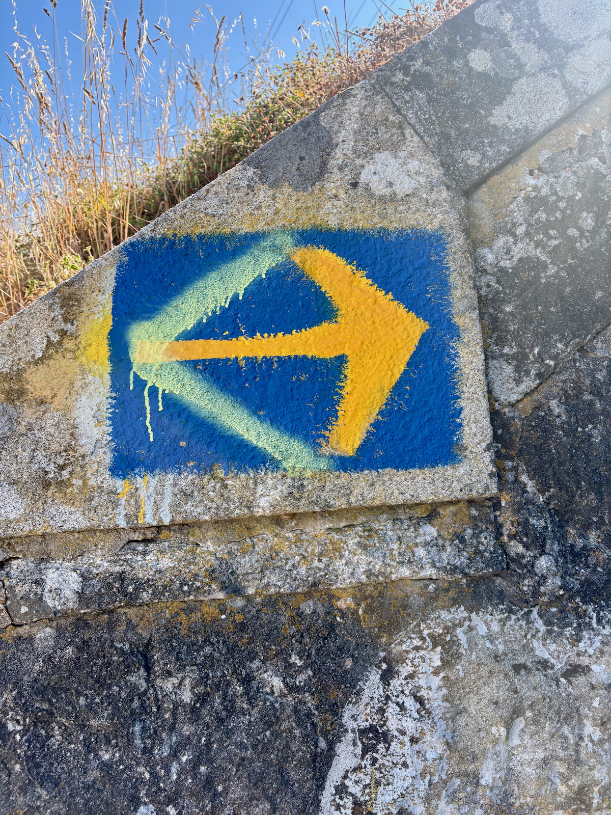Blue circle with a bold yellow right-pointing arrow spray-painted on a weathered stone wall, with moss and dried grass in the background.