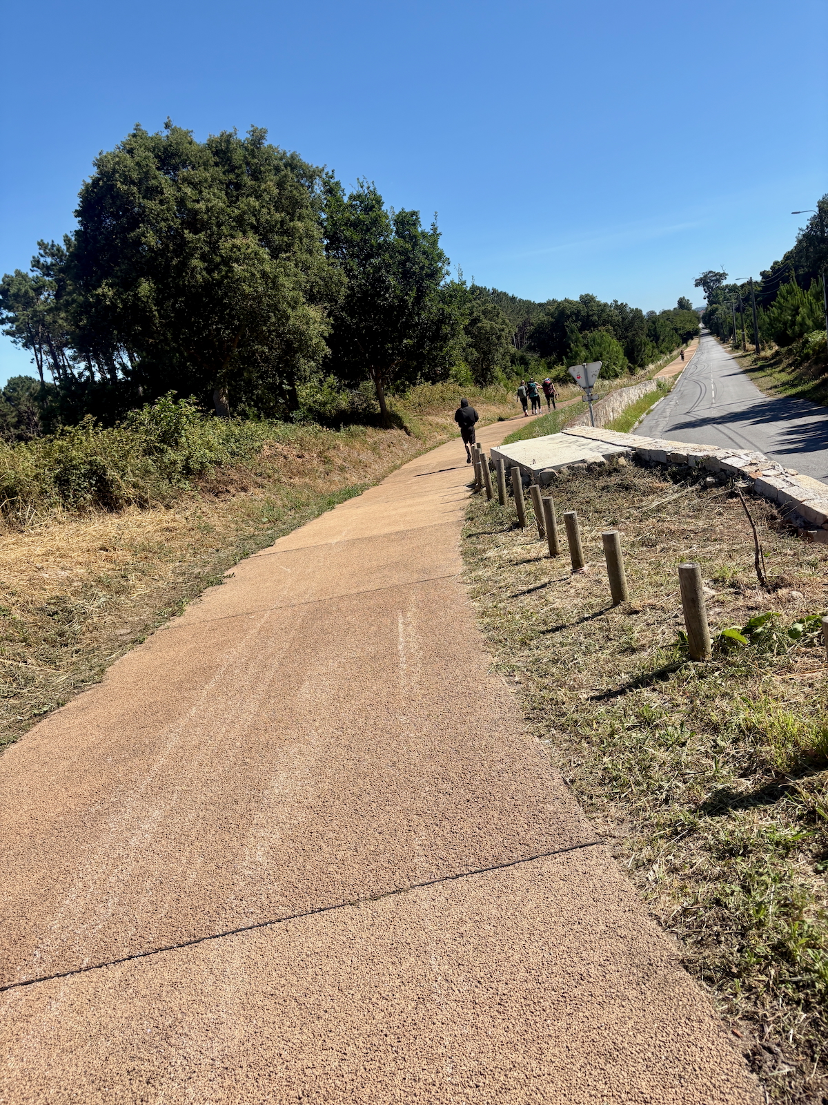 Group of hikers walking along a sunlit dirt trail beside a paved road, with trees and a clear blue sky above.