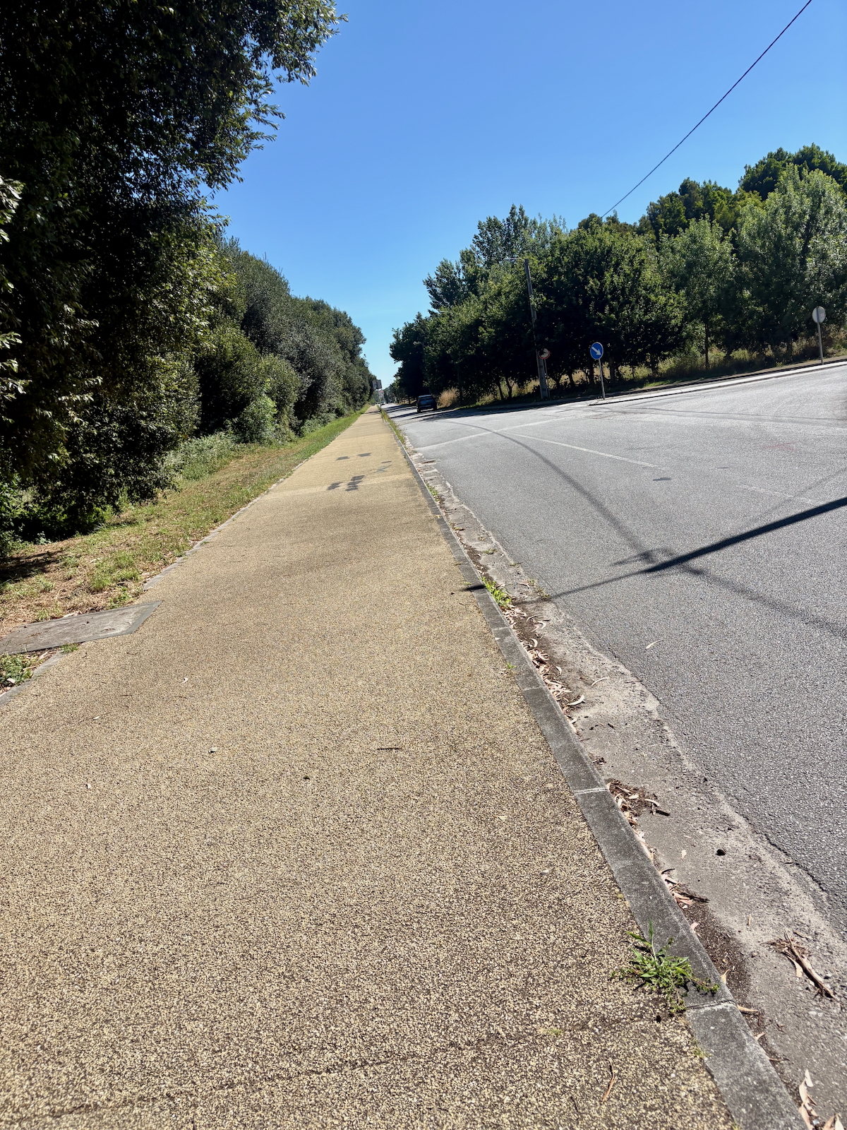 View down a straight pedestrian path flanked by trees on the left and a road on the right under a clear blue sky; sunny daytime.