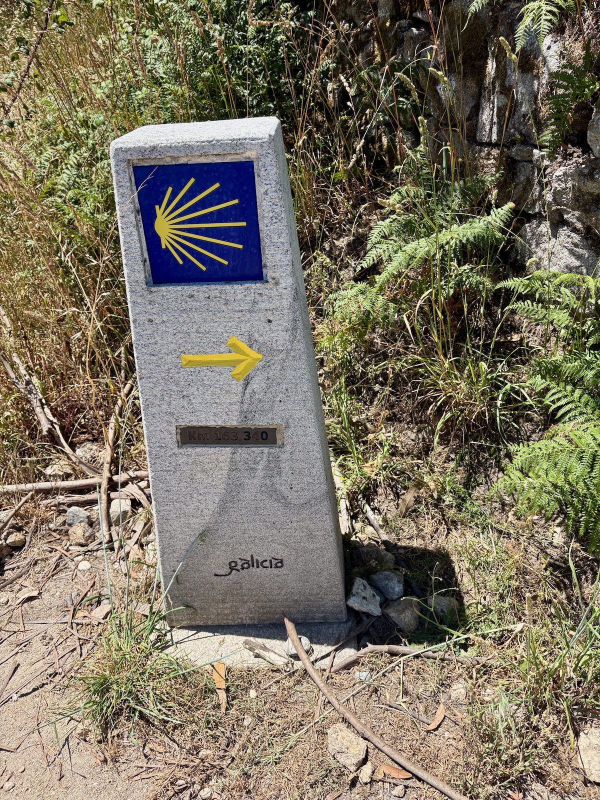 Stone milestone on the Camino de Santiago with a blue panel showing a yellow scallop shell and arrow, kilometre 163.40 in Galicia, surrounded by plants.