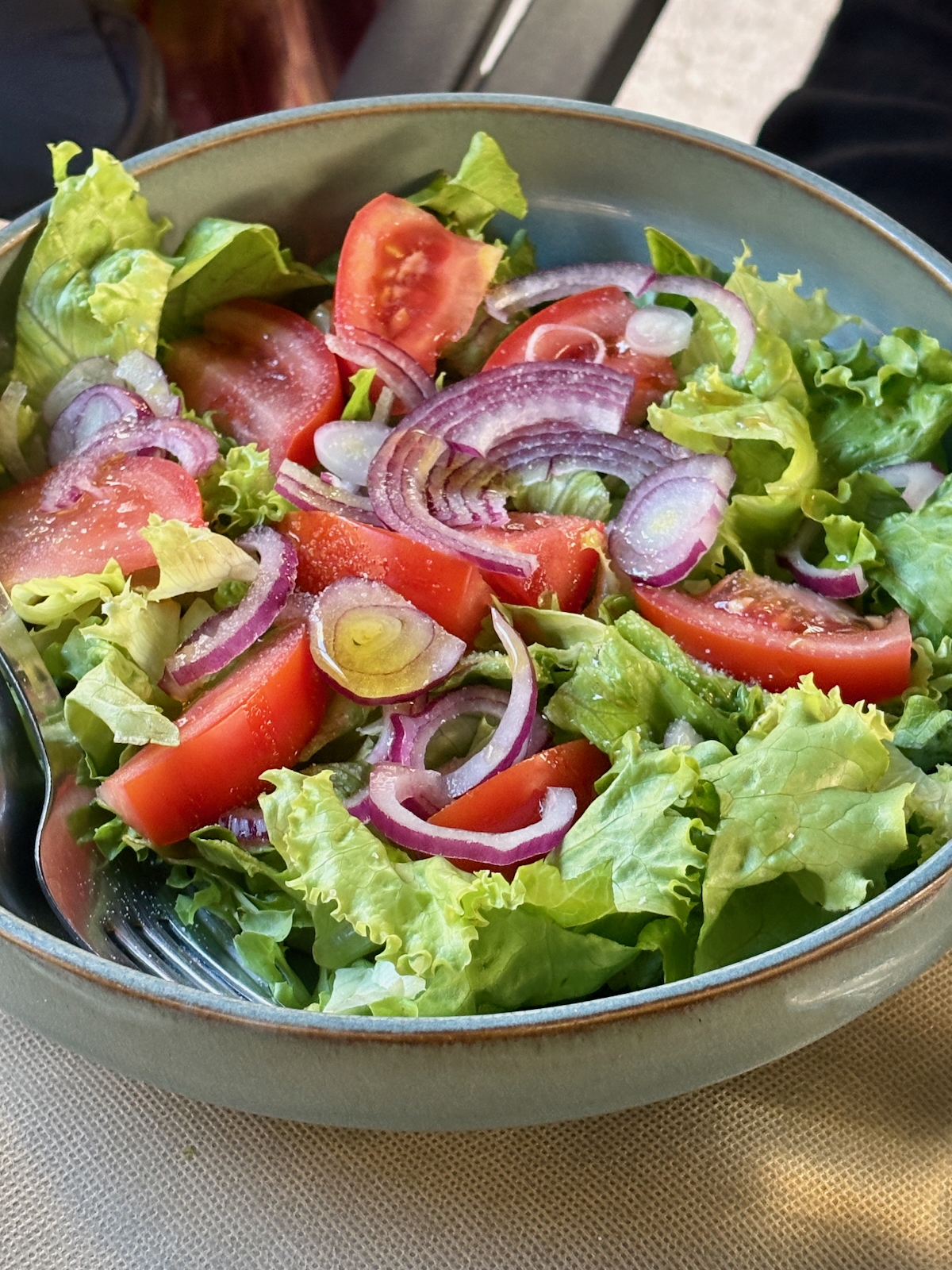 Bowl of fresh garden salad with green lettuce, tomato wedges, and sliced red onions in a metal bowl.
