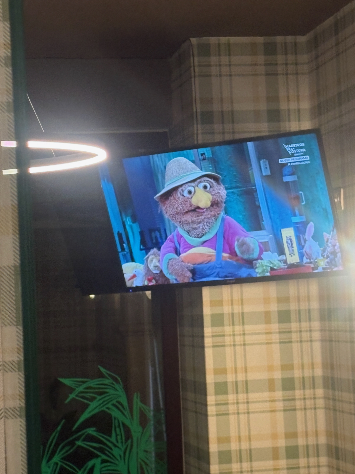 TV mounted on a plaid wall showing a fuzzy puppet with a yellow nose wearing a hat and pink clothing.