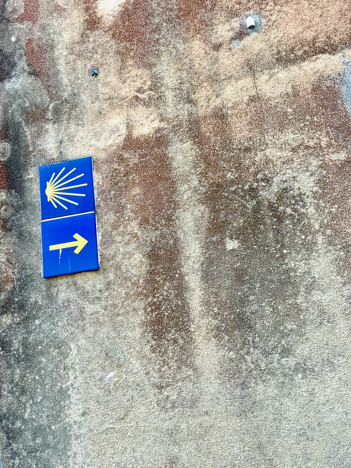 Blue sign with a yellow scallop shell and a right-pointing arrow on a textured stone wall (wayfinding marker).