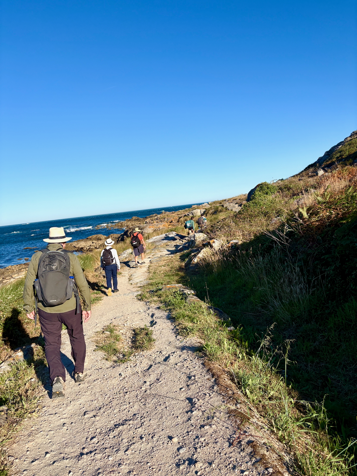 Group of hikers with backpacks walking along a rocky coastal path beside the blue sea under a clear sky
