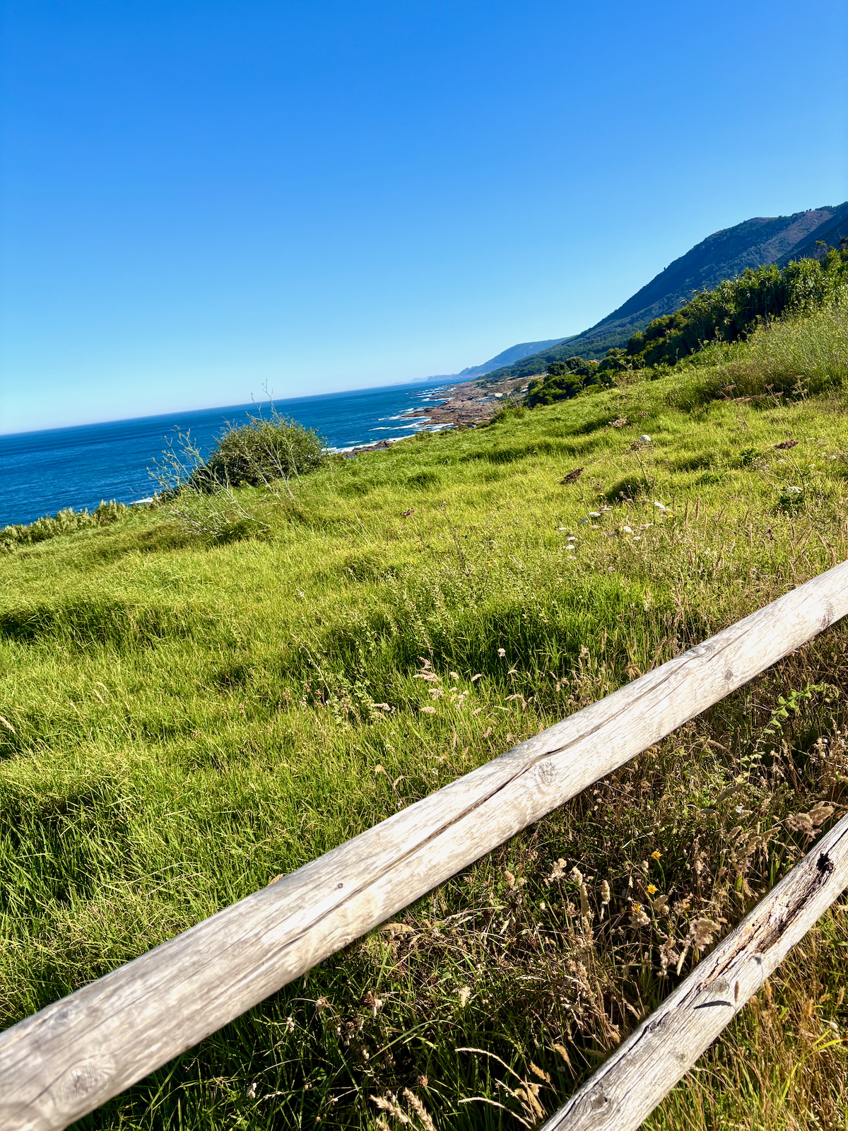 Grassy coastal hillside with a weathered wooden railing in the foreground, blue ocean to the left and distant mountains on the right.