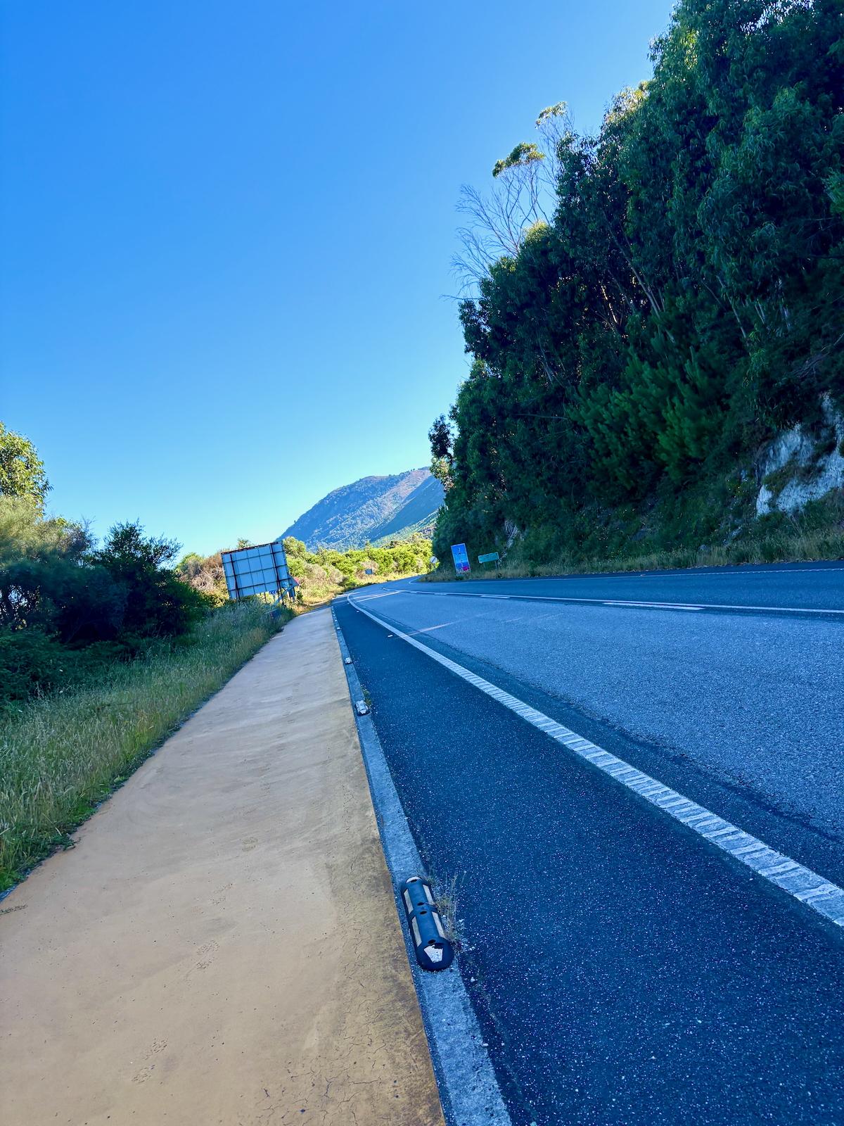 Winding road along a hillside with a paved shoulder and dense trees on the right under a bright blue sky