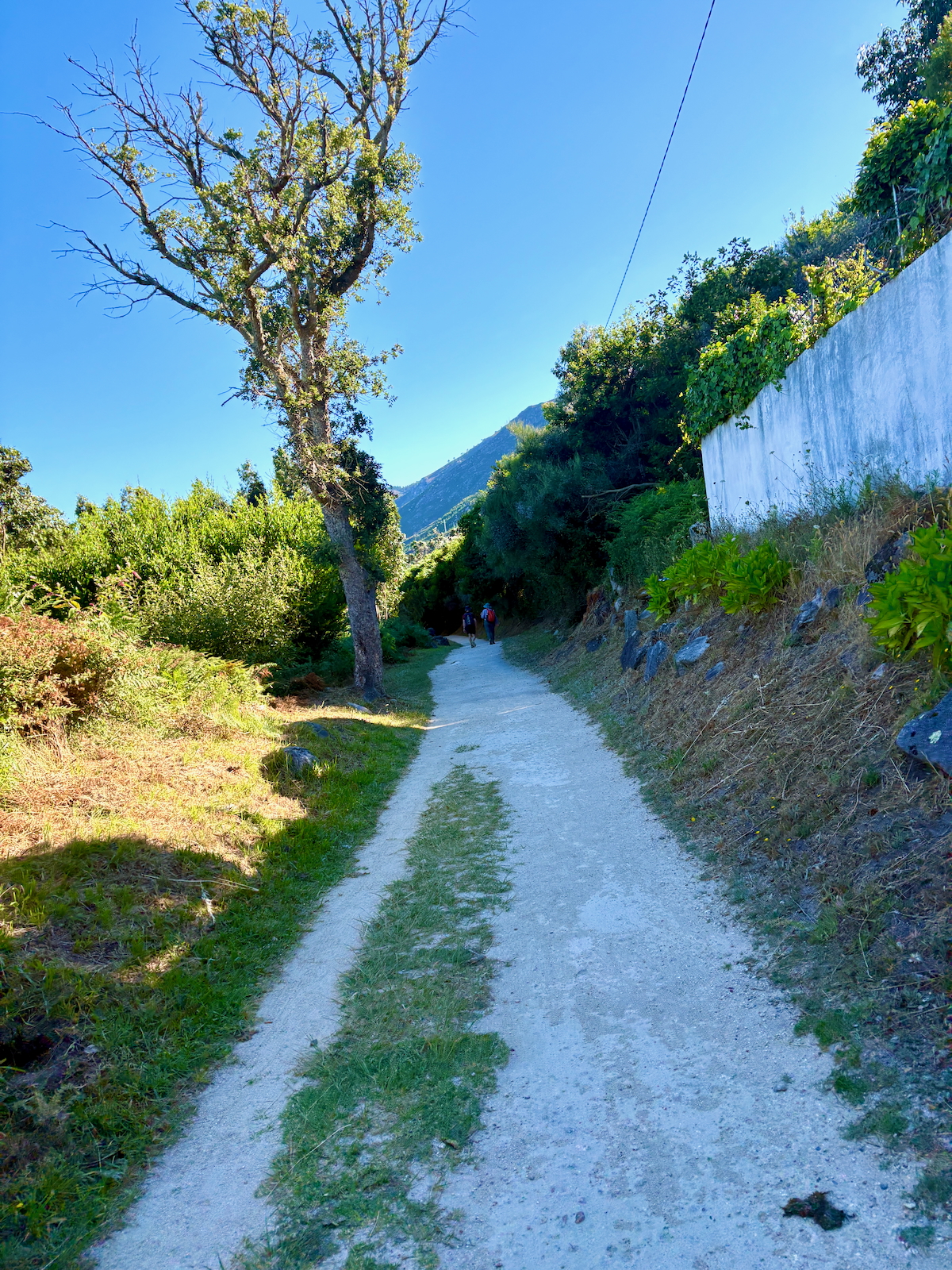 Gravel hiking path winding through a sunny, green landscape with a tall tree on the left and a white wall on the right; two people walk ahead.