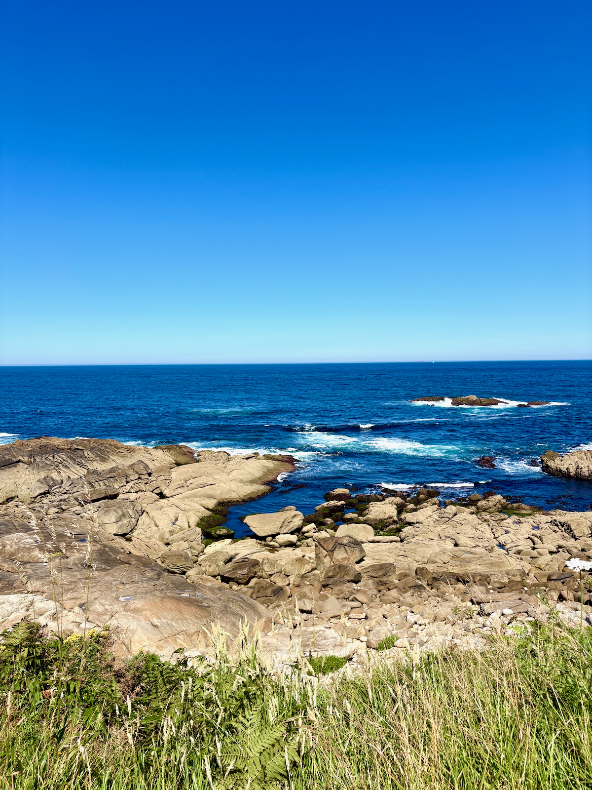Rocky coastal shoreline with waves breaking against boulders under a clear blue sky, grasses in the foreground.
