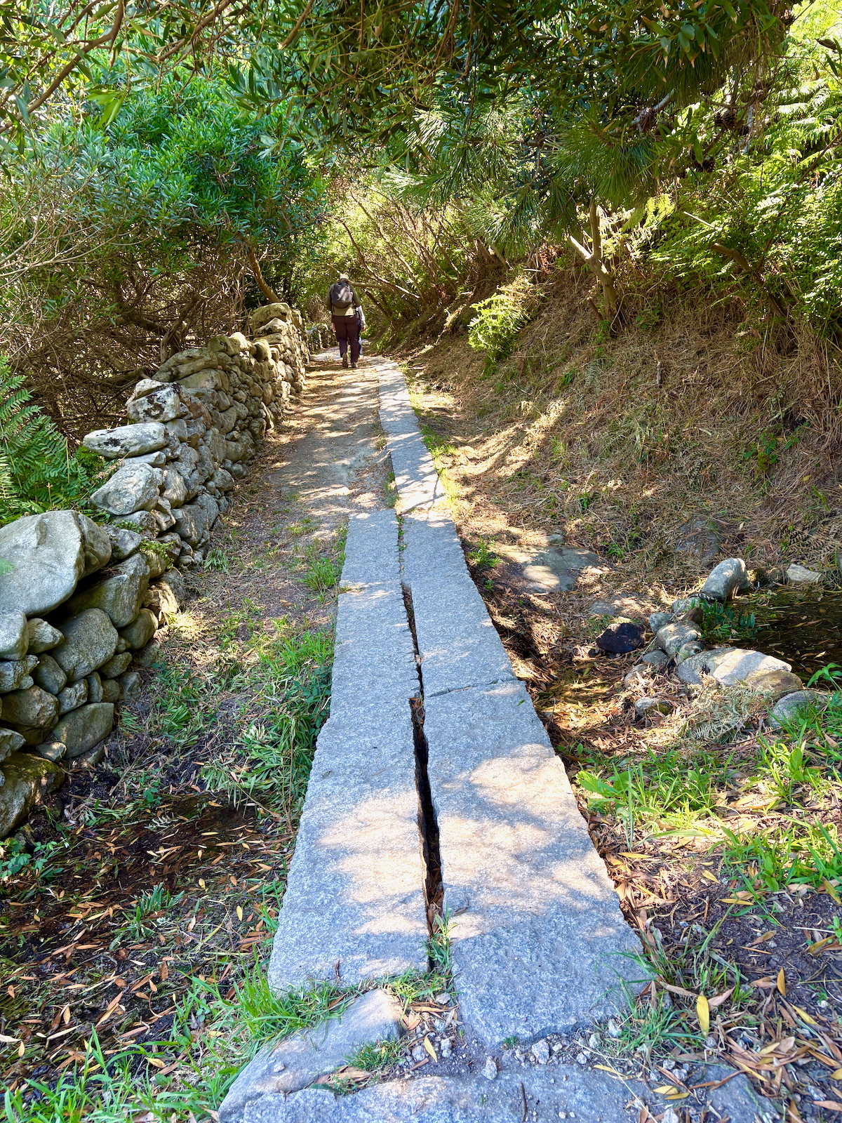 Hiker walking away on a narrow stone path beside a dry stone wall in a green, forested area.