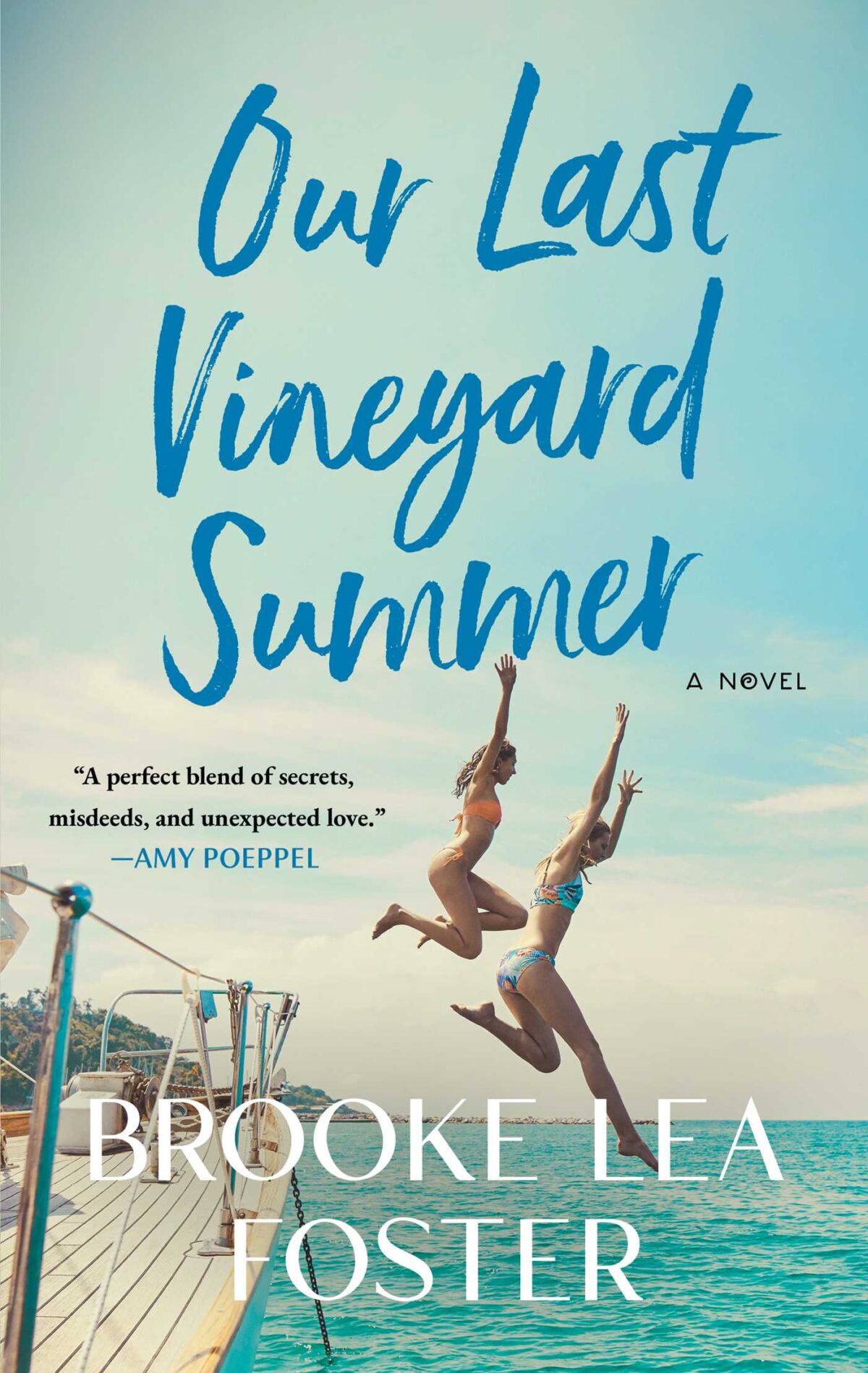 Book cover of Our Last Vineyard Summer by Brooke Lea Foster.