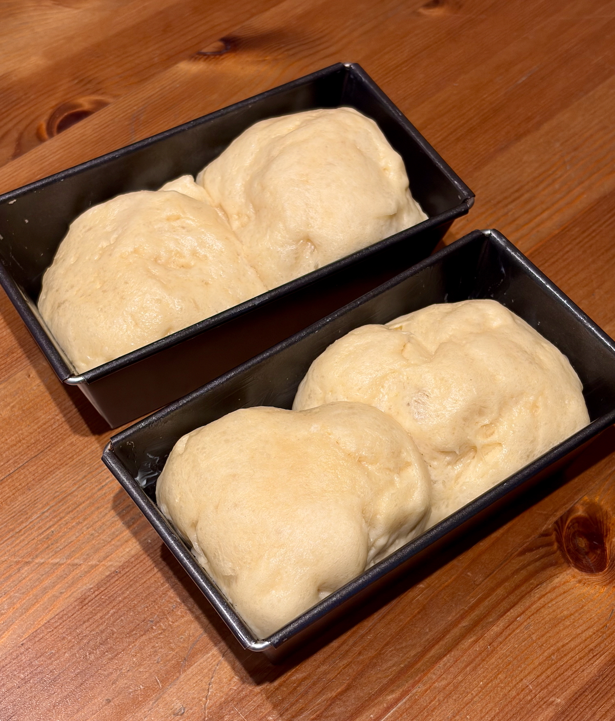 Two mini brioche loaves proofing in tins.