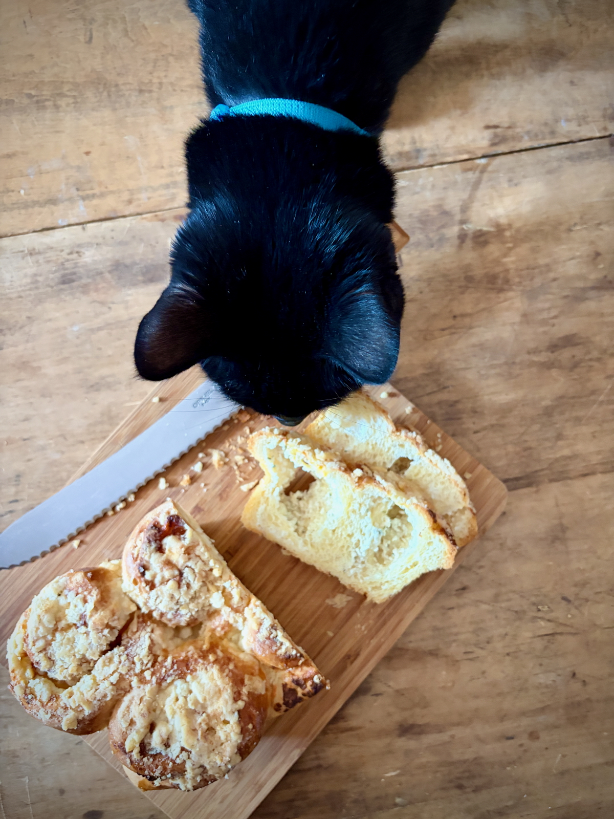 Cat looking at a slice of Cheese-Swirl Babka Buns from Baking with Dorie.